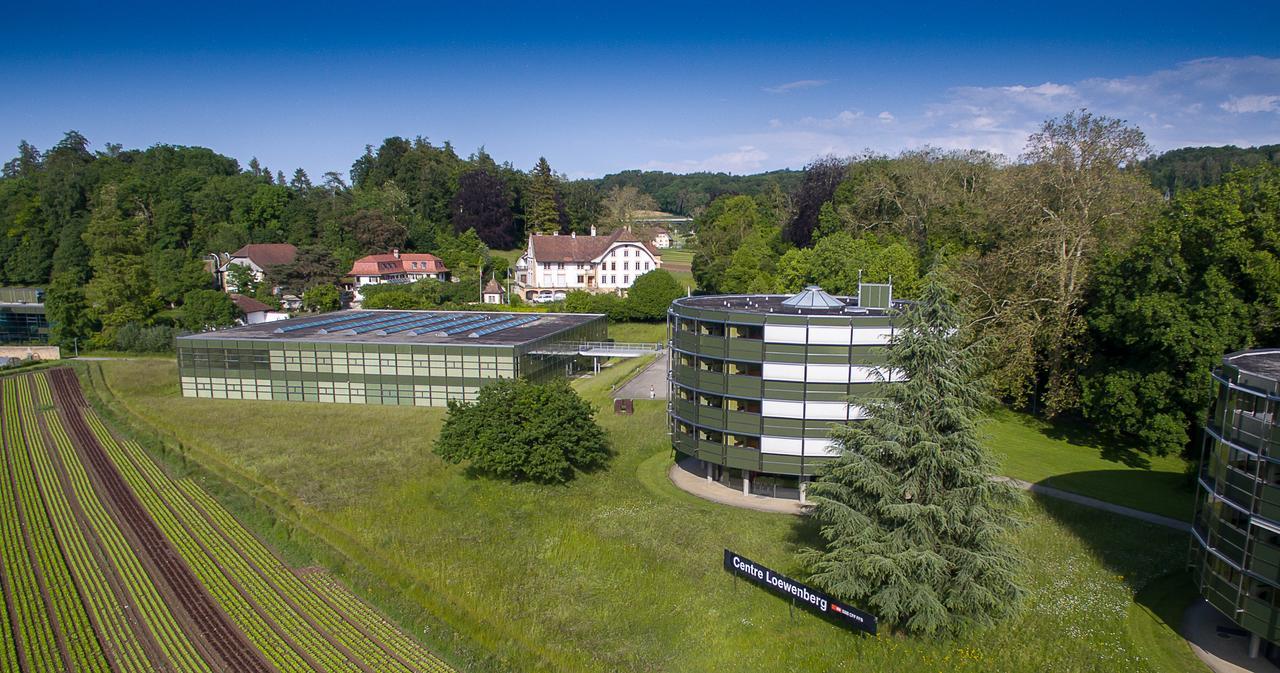 Centre Loewenberg Hotell Murten Eksteriør bilde
